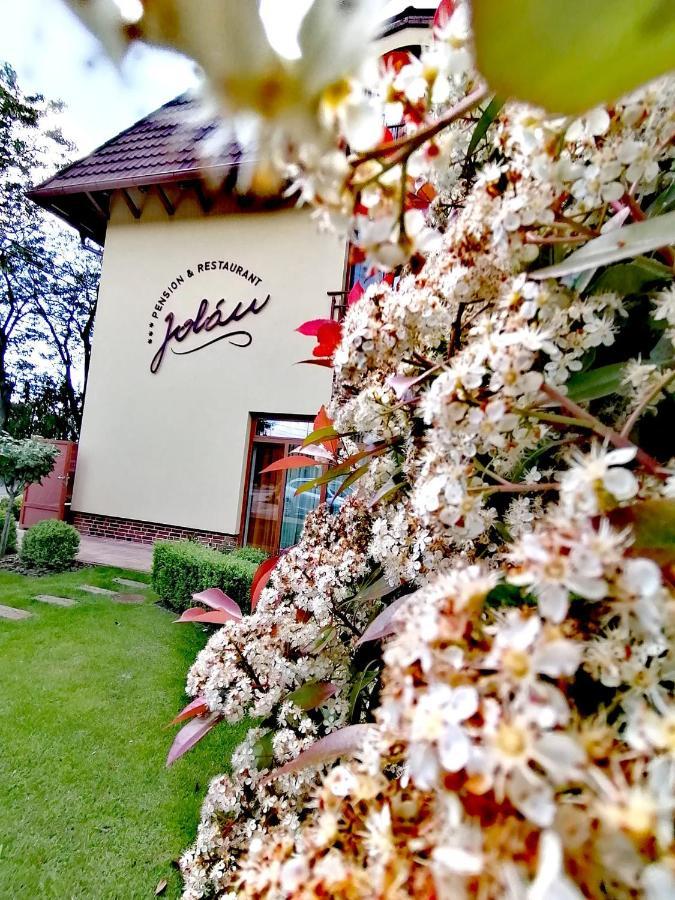 Jolan Pension & Restaurant Cicov Екстериор снимка