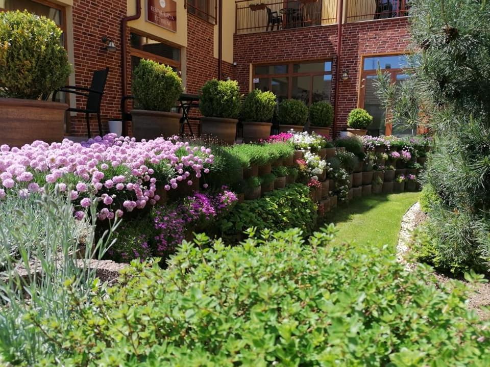 Jolan Pension & Restaurant Cicov Екстериор снимка